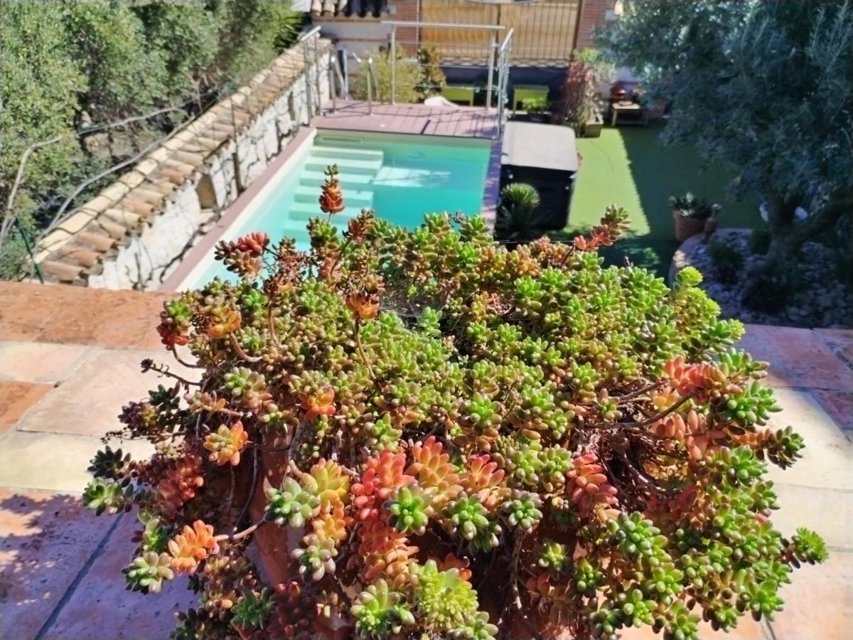 Villa Artemia Maison Vigneronne A Sigean Εξωτερικό φωτογραφία