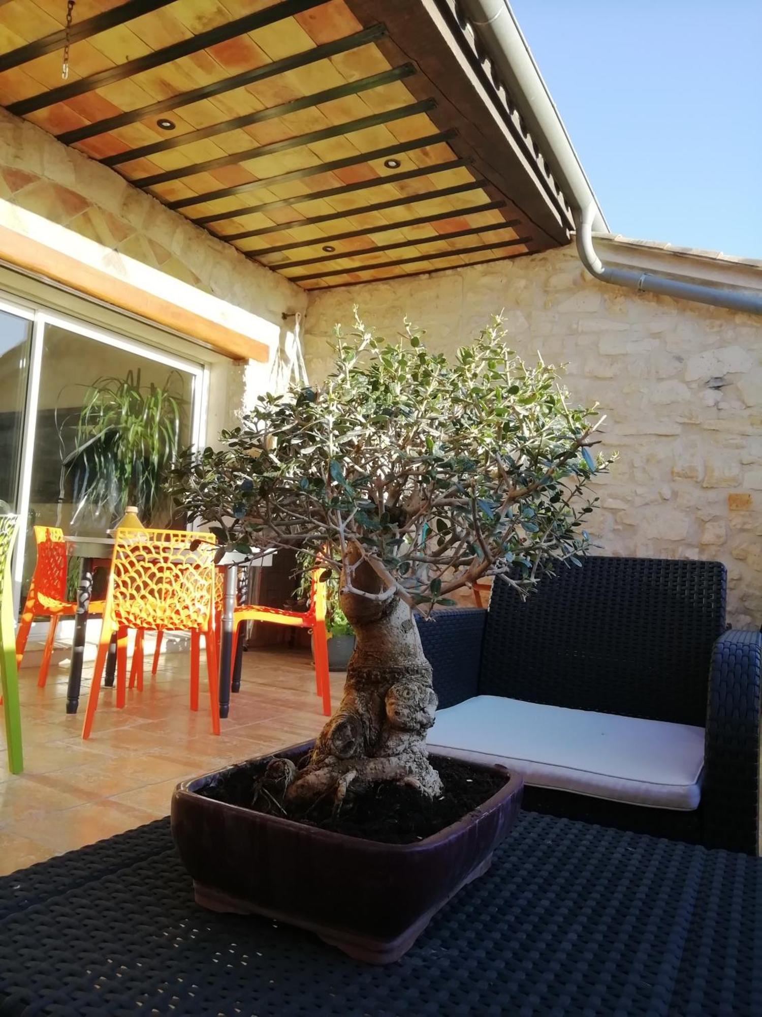 Villa Artemia Maison Vigneronne A Sigean Εξωτερικό φωτογραφία